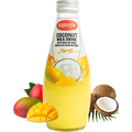 VISVITA Coconut Milk Mango with fresh mango and coconut